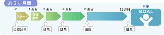 禁煙治療のスケジュール